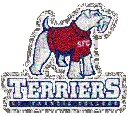 St. Francis Terriers