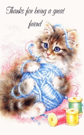 Cat with yarn -Thanks for bein..