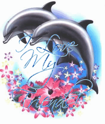I Love My Friends Dolphin