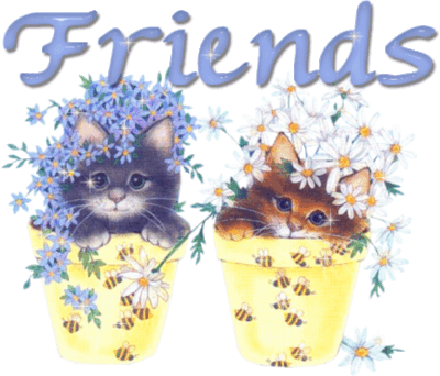 Kitty Friends