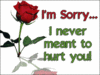 I'm Sorry I never meant to hurt you!