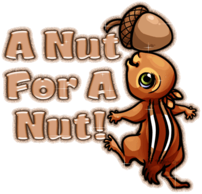 Nut for a Nut