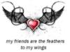 My friends are the feathers to..