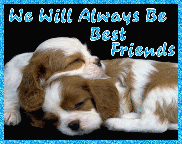 We Will Always Be Best Friends