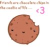 friends are chocolarte chips i..