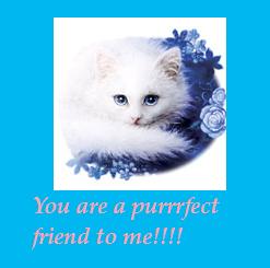 purfect friend