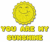 sun you are my sunshine