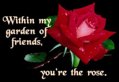 you're the rose