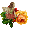Fairy-rose
