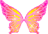 Orange and Pink Wings