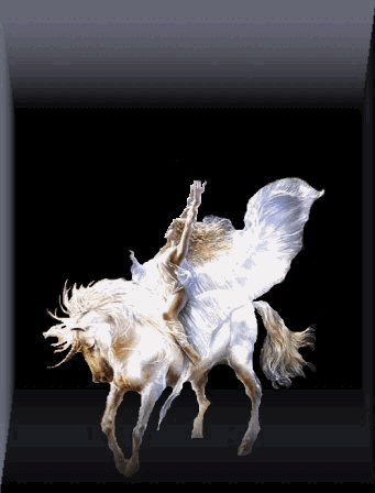 Sorceress on Unicorn
