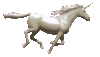 Unicorn running