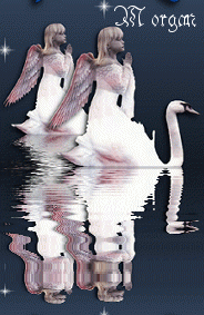 angels on swans reflecting in ..