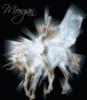 angel on unicorn