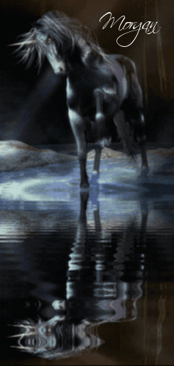 black unicorn in water