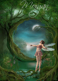 fairy dancing in forest