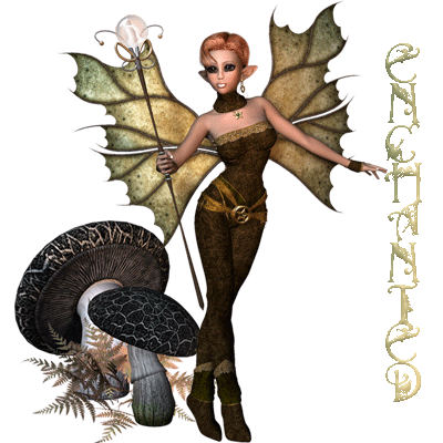 fairy enchantress