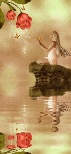 fairy on rock reflecting