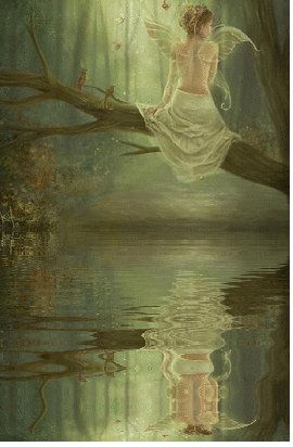 fairy on tree limb reflecting
