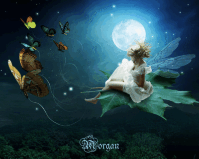 fairy riding on leaf