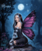night fairy