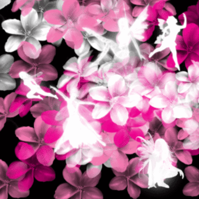 pink flowers with pixies