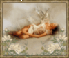 sleeping woman with dove