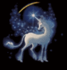 unicorn at night