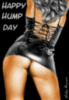 happy hump day