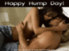 happy hump day animation