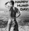 happy hump day! black text