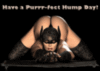 Happy Hump day! black background Purrr-fect